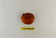 藏品(白紋方蟹)的圖片